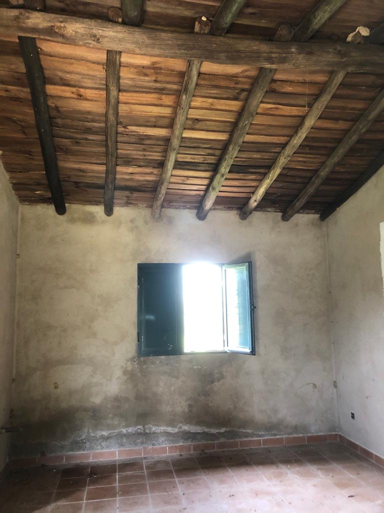 PHOTO-2021-03-03-11-18-18 (8)