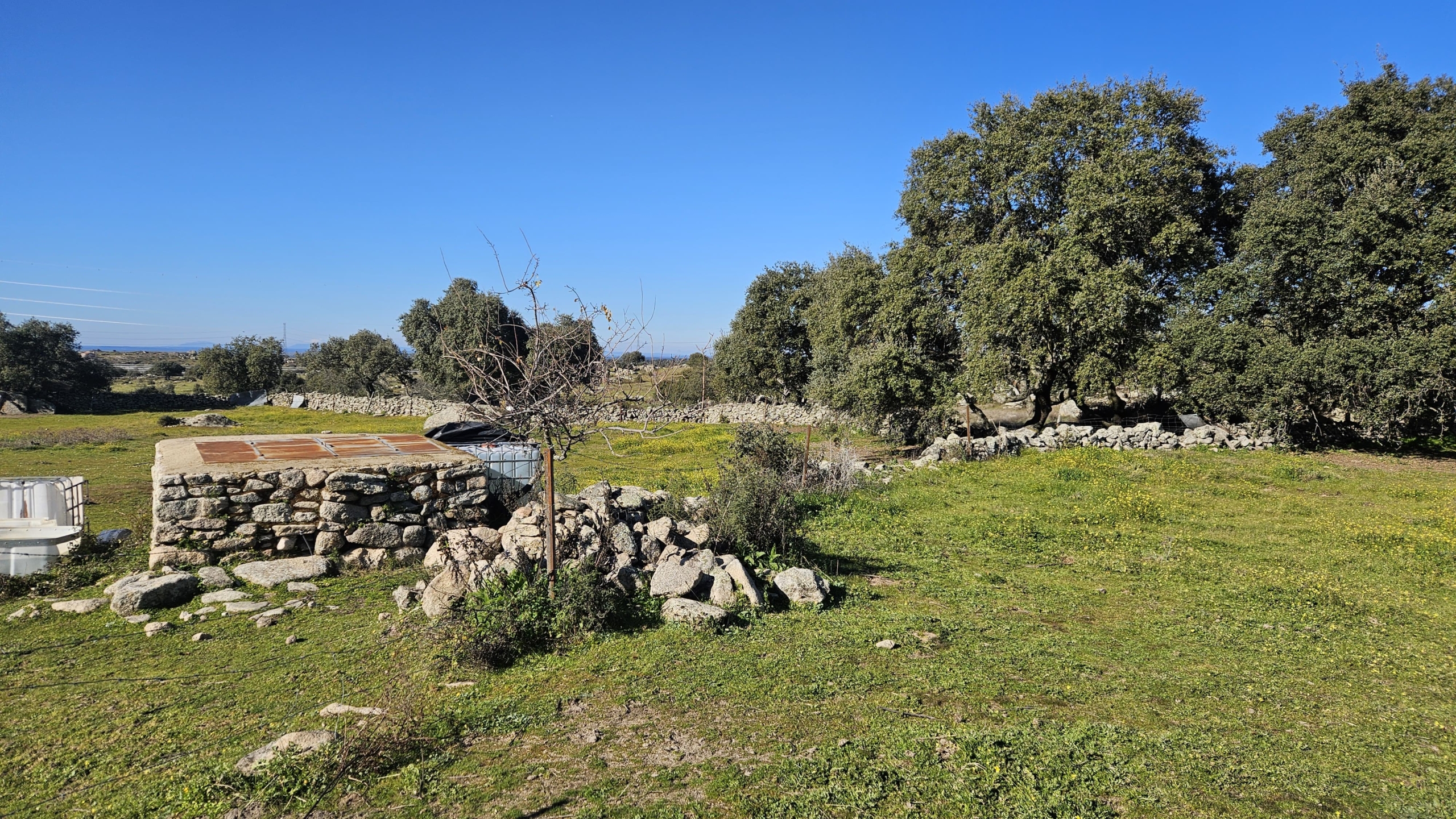 PHOTO-2025-01-17-14-55-44