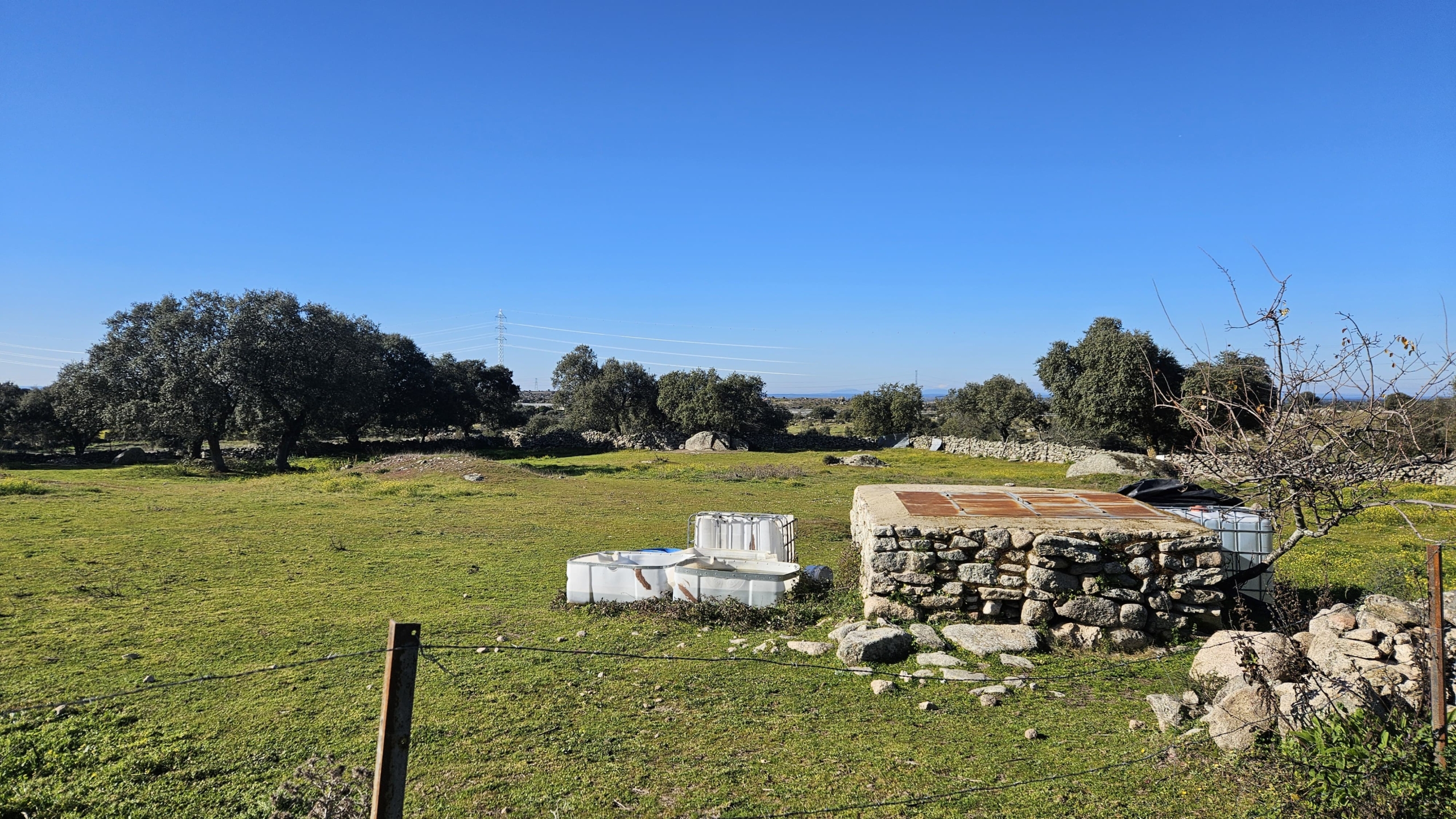PHOTO-2025-01-17-14-55-45