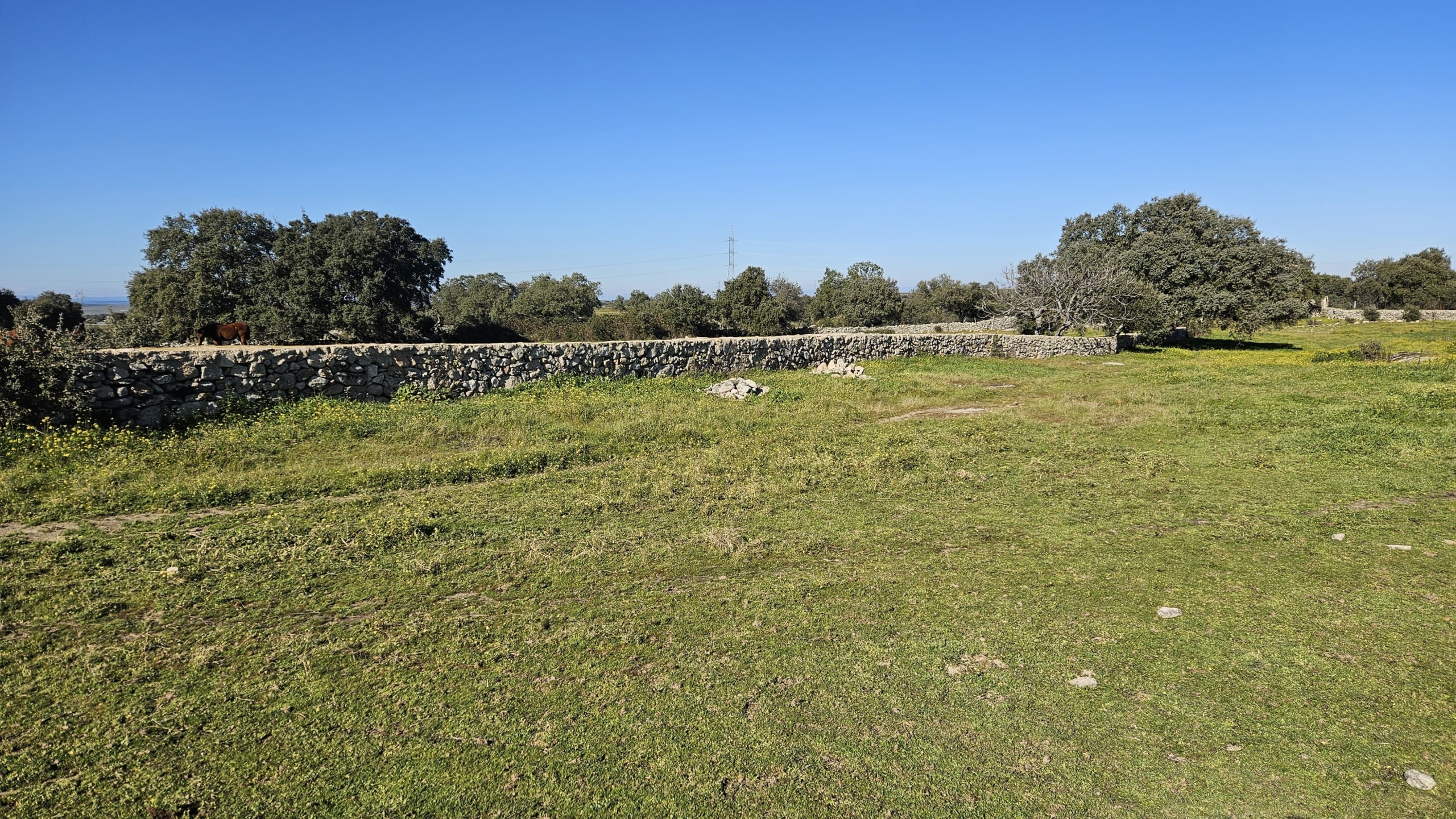 PHOTO-2025-01-17-14-55-47